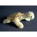 Steiff - Schildkr&ouml;te / Turtle - Slo